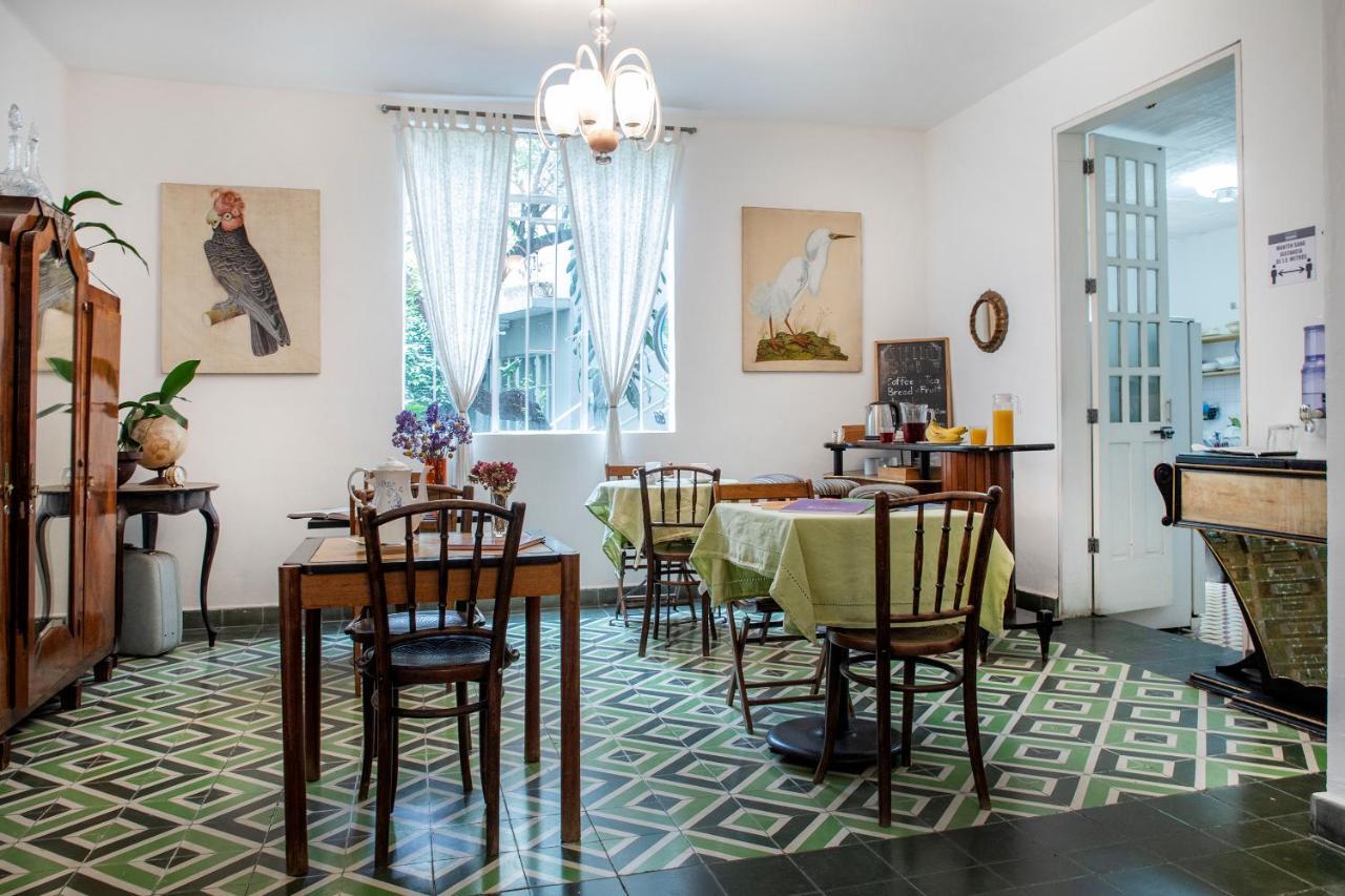 Stella Bed & Breakfast メキシコシティ エクステリア 写真
